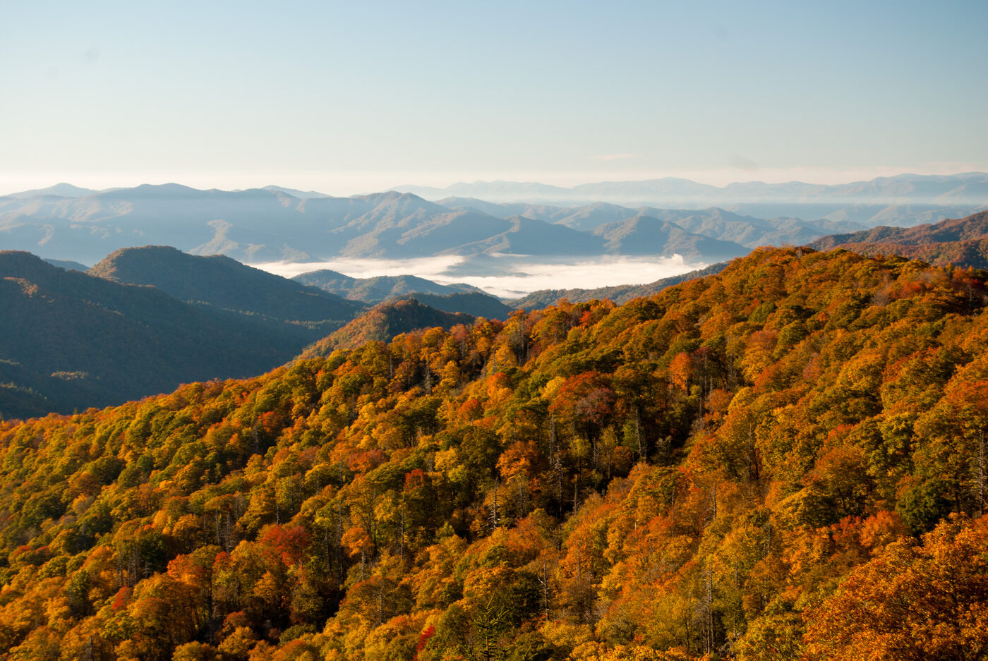 Morning fog over the Smoky Mountain ridge above Gatlinburg, Tennessee